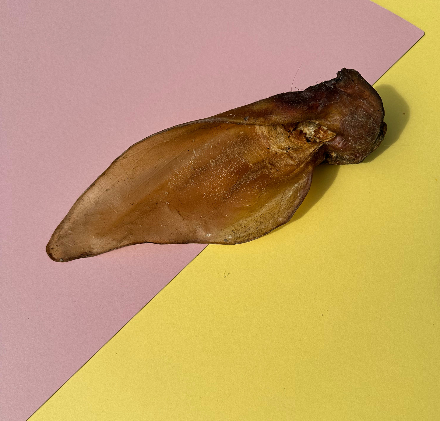 Meaty buffalo ear