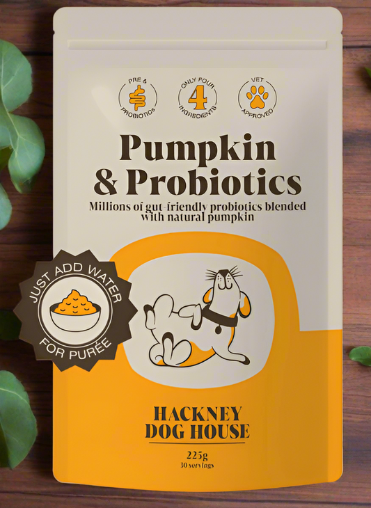 Pumpkin Probiotic Powder