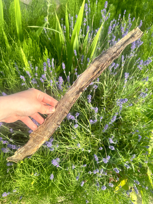 Giant buffalo Biltong