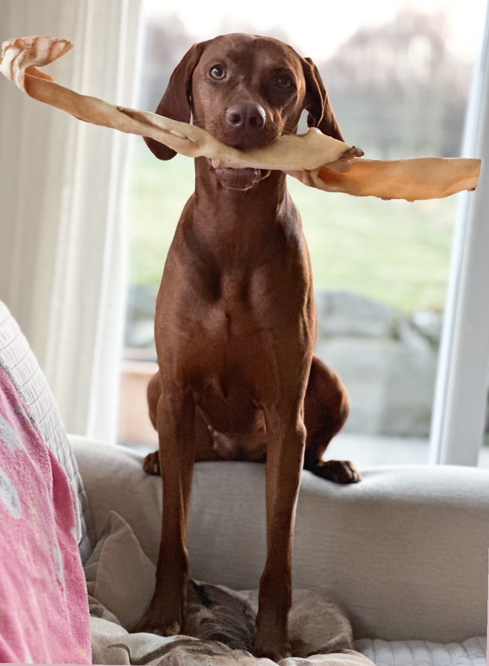 Giant Beef Stick