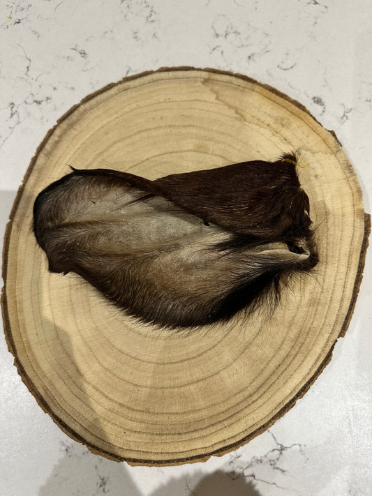 Hairy Cow Ear